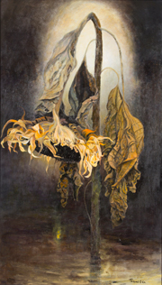 �����ɍ炭