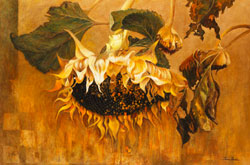 �킵���Ŋ�