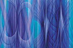 ���̋���