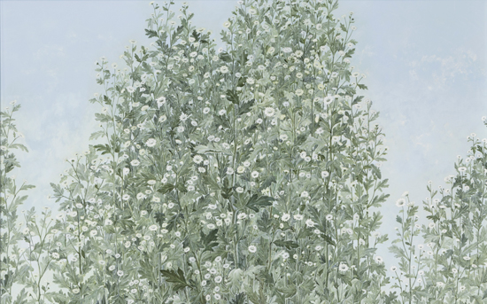 �f����̃A���A�𕷂��Ȃ���